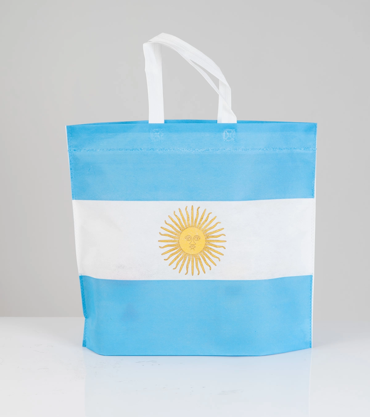 BOLSA FUELLE INFERIOR Y MANIJA